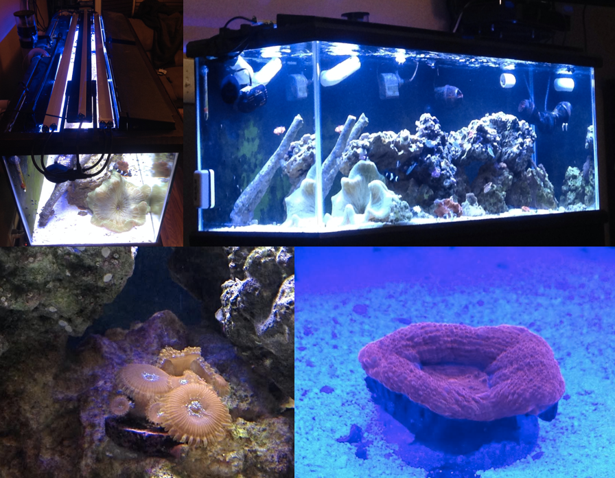 4 X ReefBar COMBO! 3Ft Aquarium LED Light Bars - Aquarium Light