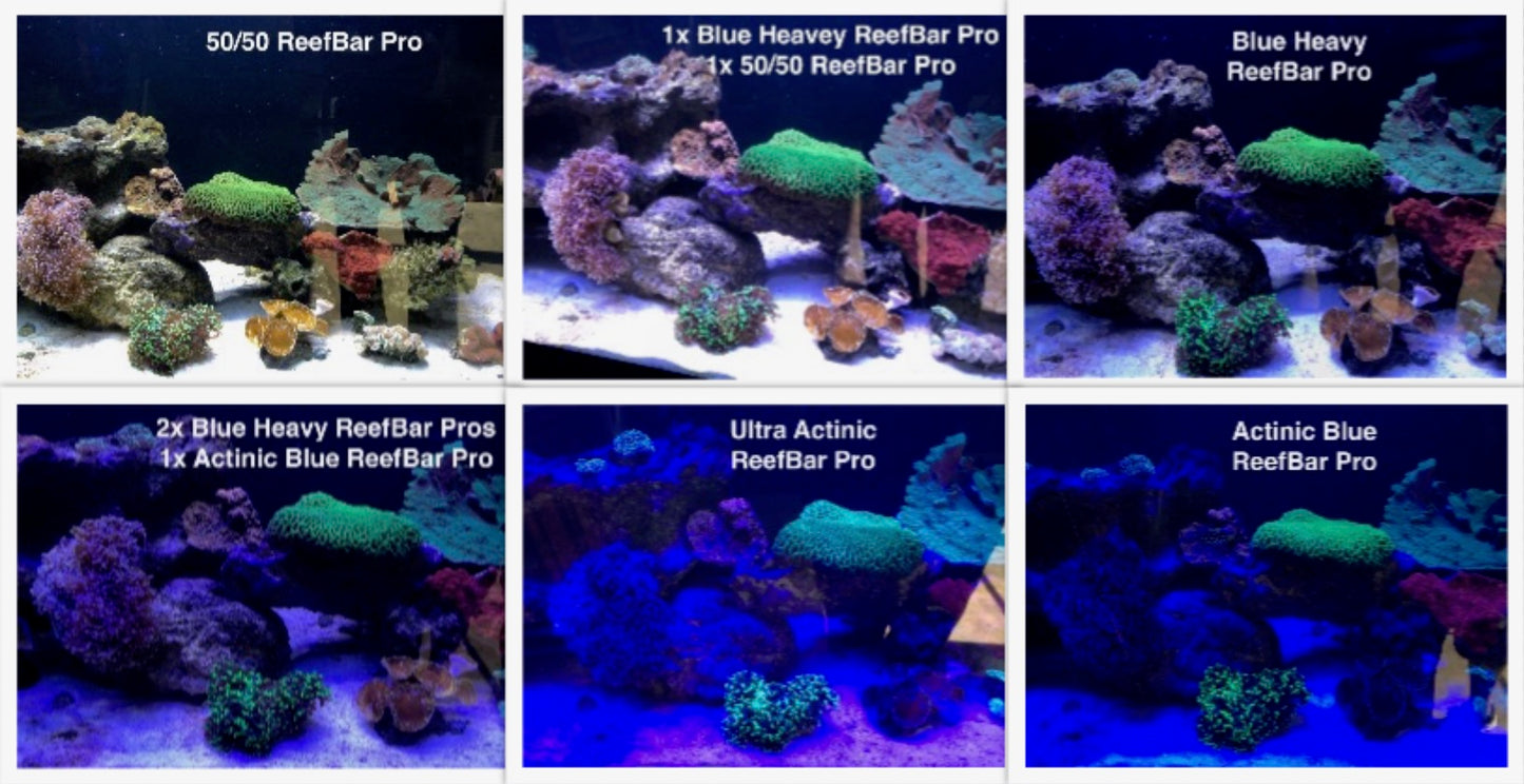 20" 50/50 ReefBar Pro 3W Bridgelux LEDs - Aquarium Light