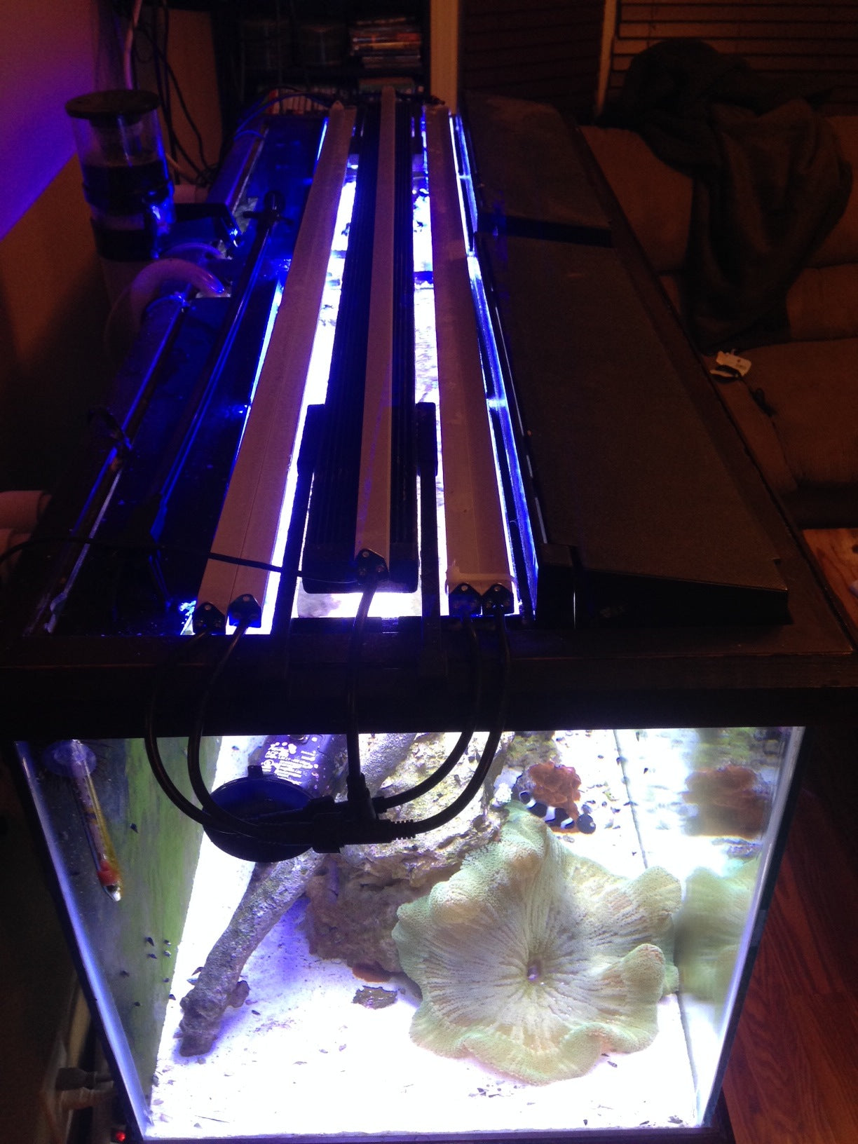 12000k White ReefBar Aquarium LED Light 9W/Ft - Aquarium Light