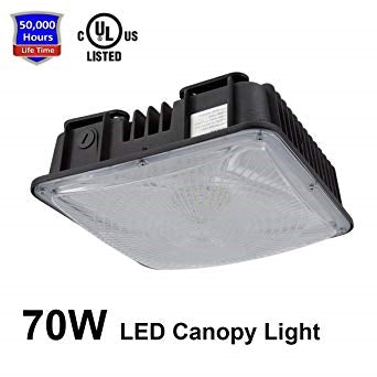 Canopy Ceiling Lights