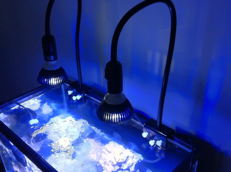 35W CREE LED Aquarium Reef Bulb w/ optional Mount - Aquarium Light